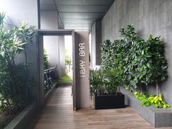 The Peak @ Cairnhill II (D9), Apartment #442505181